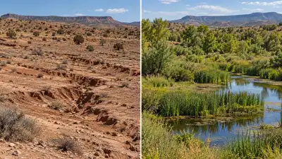 In the mid-1990s, Kimberly de Castro bought a 50-acre ranch outside: The wider industry impact