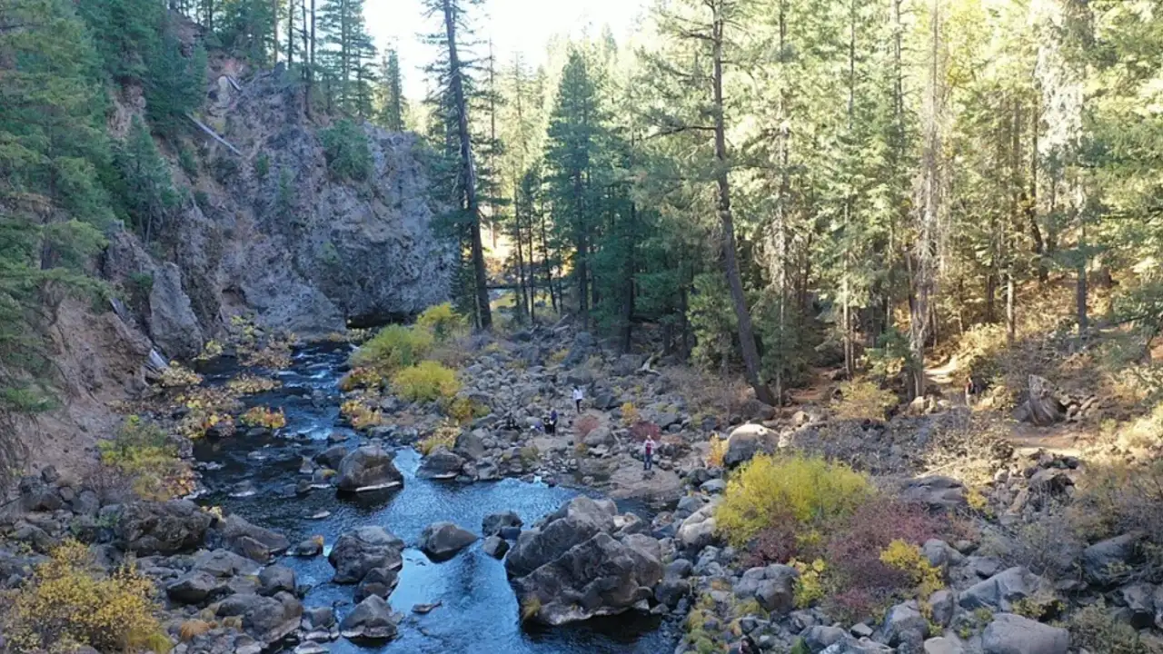 In 2022, California launched a floating salmon-collection experiment: The wider industry impact