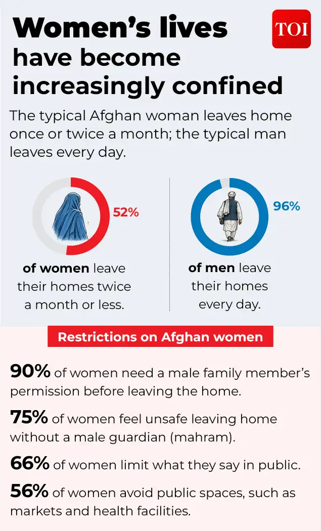 Five years of Taliban rule have left Afghanistan with so much loss: The wider industry impact