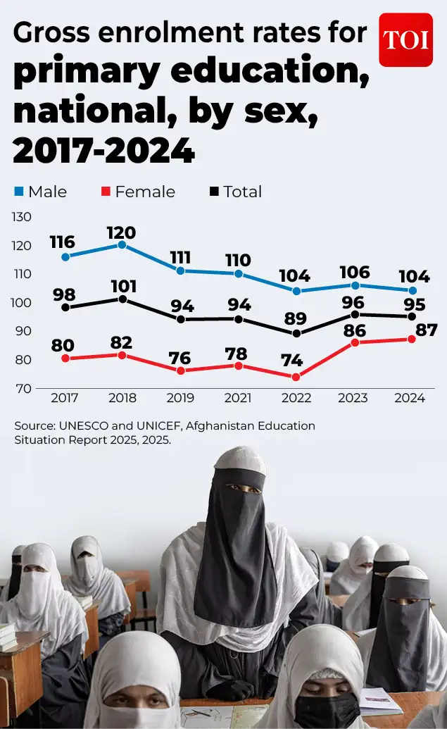 Five years of Taliban rule have left Afghanistan with so much loss: The wider industry impact
