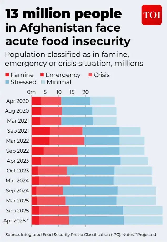 Five years of Taliban rule have left Afghanistan with so much loss: The wider industry impact
