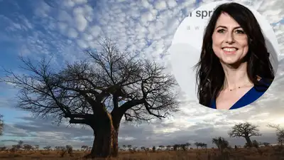 MacKenzie Scott gave Maliasili $15 million after an earlier grant: The wider industry impact