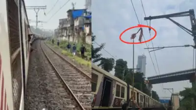 Harbour line services were disrupted for nearly 30 minutes on Friday morning after a piece
