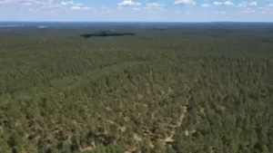 A North Carolina family bought 600 acres in 1811 and kept part of the land for seven generations