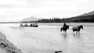 Alaska Koyukuk gold rush history begins in 1898, when about seventy small steamers carried