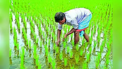 Kolkata: Bengal is preparing to tap the export potential of its four: The wider industry impact