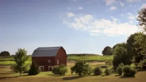 Tom and Jim Irwin protected their 158-acre family farm in Grass Lake in 2021 | Wikimedia