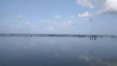 Eight students from Pune tragically drowned at Diveagar beach: The wider industry impact