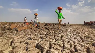 Maharashtra announces 10% water cut from October 16 as state: The wider industry impact