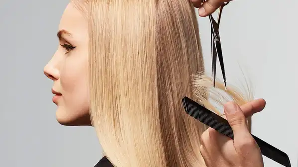 But how often should you receives your hair cut?