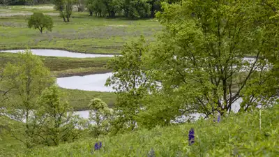 When John and Sheri Paule bought the first 40 acres: The wider industry impact