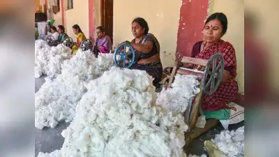 Achieving these targets would require 475–500 lakh bales of cotton: The wider industry impact