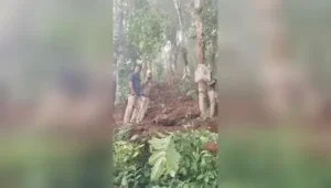 Forest department personnel inspect the carcass of a one-year-old elephant calf found dead