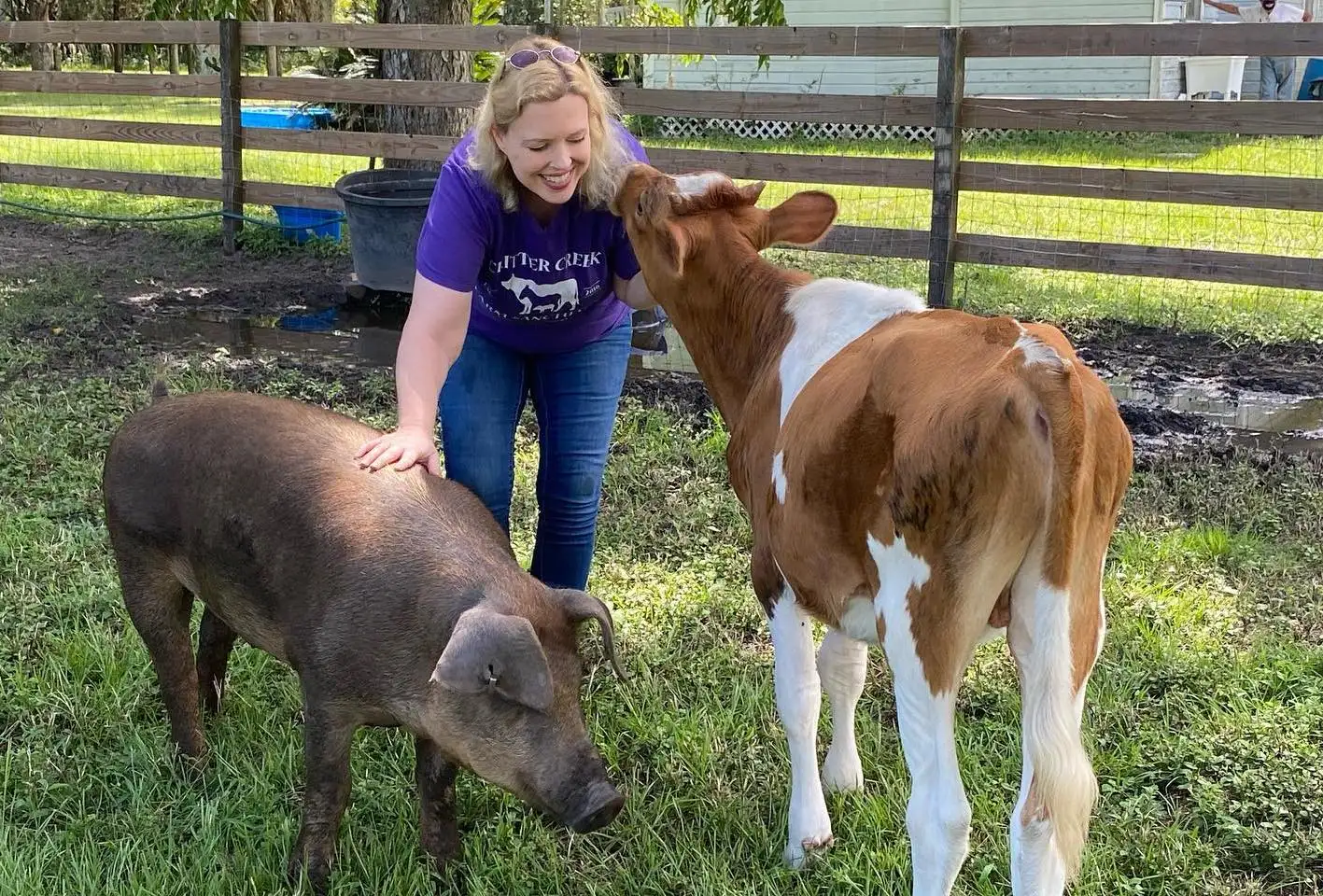 In 2015, a Florida couple bought a 210-acre farm near Gainesville and rescued three cows; 10 years