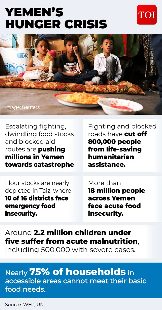 ” Iranian assistance is important, but the Houthis do not depend: The wider industry impact