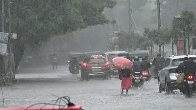 Tamil Nadu ’s rainfall position has improved sharply in the opening: The wider industry impact