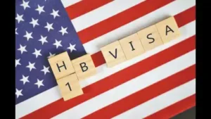 Donald Trump Jr argues Vice President JD Vance is absolutely right about H-1B visa program