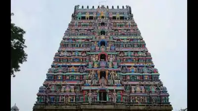 Madras high court on Friday observed that podhu dikshitars group have converted the Chidambaram