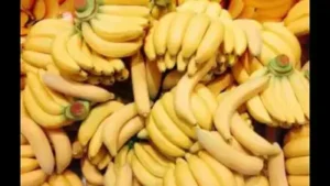 Farmers say banana arrivals have halved due to water shortage: The wider industry impact