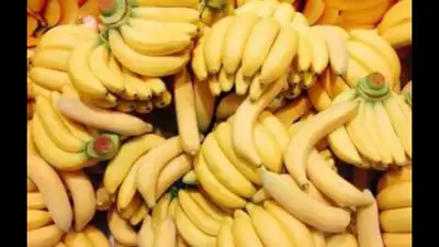 Farmers say banana arrivals have halved due to water shortage: The wider industry impact