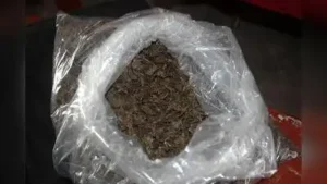 Man arrested with over 21kg of ganja seized at Aluva railway station