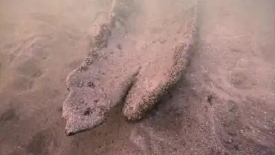 Mark Schachtner, a diver from Beaver Dam, spotted a partially buried: The wider industry impact