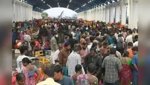 Chennai: Fish lovers made a beeline for Kasimedu on Sunday: The wider industry impact