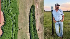 A Louisiana landowner planned to raise cattle and grow soybeans: The wider industry impact