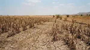 Jalna admin initiates adopt drought-hit villages drive: The wider industry impact