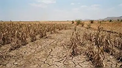 Jalna admin initiates adopt drought-hit villages drive: The wider industry impact