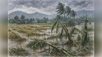 Heavy rain has caused extensive agricultural damage in the district: The wider industry impact