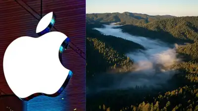 In 2025, Apple invested in California's 14,000-acre Gualala River: The wider industry impact