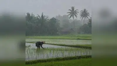 Bengal allocates record Rs 407cr for farm mechanisation scheme: The wider industry impact
