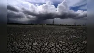 Tamil Nadu receives around 45cm of rain during the Oct-Dec northeast: The wider industry impact