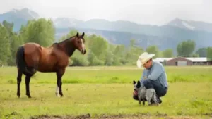 A Colorado ranch homesteaded before statehood stayed with the same: The wider industry impact