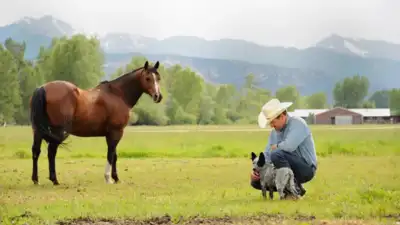 A Colorado ranch homesteaded before statehood stayed with the same: The wider industry impact