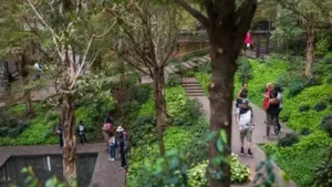 Ford Foundation exceeded its $100 million pledge with $158.5 million for Indigenous land rights