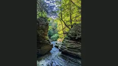Treman then donated the gorge and surrounding hillside to New York: The wider industry impact