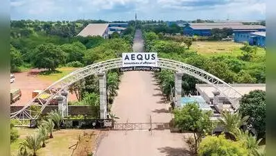 sheep and goats grazing beside an industrial ecosystem that supplies companies such as Airbus