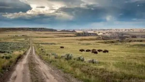 Montana conservation group bought 70,000-acre ranch once owned: The wider industry impact