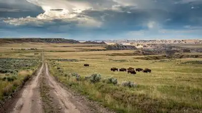 Montana conservation group bought 70,000-acre ranch once owned: The wider industry impact