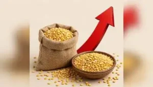 Retail prices have increased by Rs 20-30 per kg: The wider industry impact