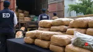 237kg ganja, Rs 14.24 lakh haul: 3 receives 4 years in jail in Lucknow drug money laundering case