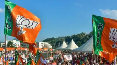 UP BJP has announced its new 712-member state working committee as it prepares for upcoming