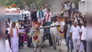 Chief minister C Joseph Vijay concluded the bypoll campaign on Sunday with a roadshow across