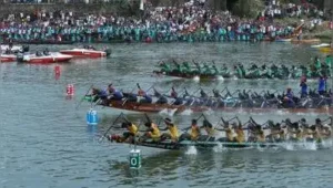 Kochi: Melpadom Chundan (Tropical Titans), rowed by Pallathuruthi Boat Club (PBC), continued