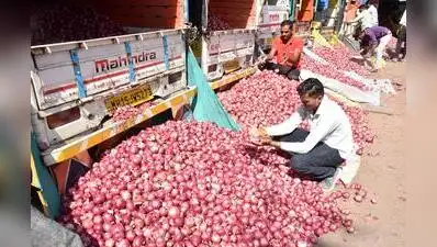 Nashik: Kharif onion cultivation in Nashik district has fallen: The wider industry impact