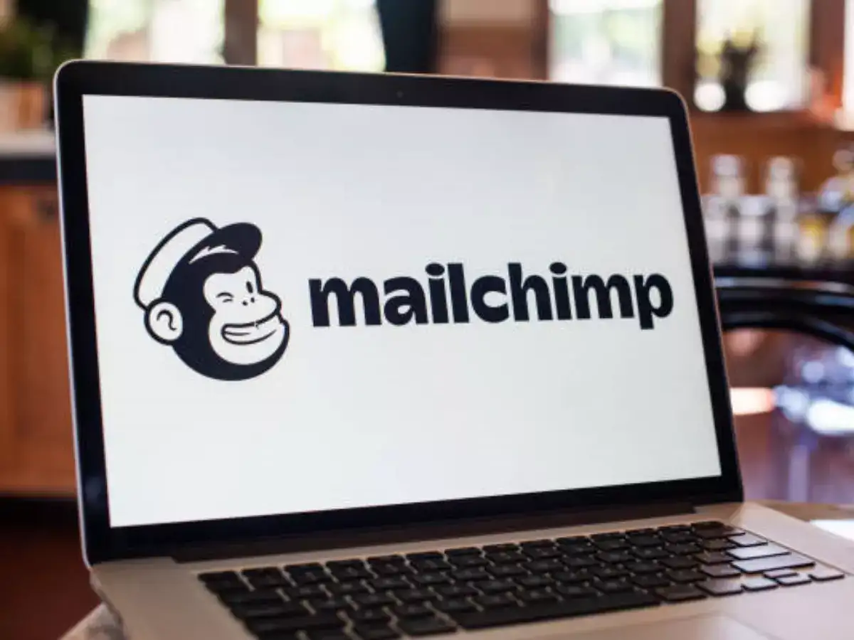 Pic: Ben Chestnut and Dan Kurzius/Mailchimp: The wider industry impact