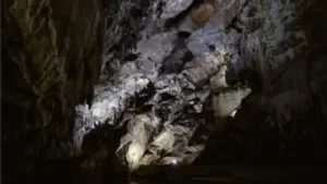 A Pennsylvania family has owned Penn's Cave since 1908 and expanded: The wider industry impact