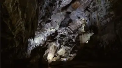A Pennsylvania family has owned Penn's Cave since 1908 and expanded: The wider industry impact